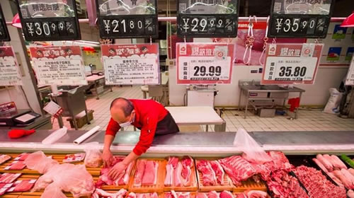 未来一段时间生猪价格走势如何？